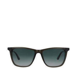 Rio Forest Green Tortoise Traveler Sunglasses