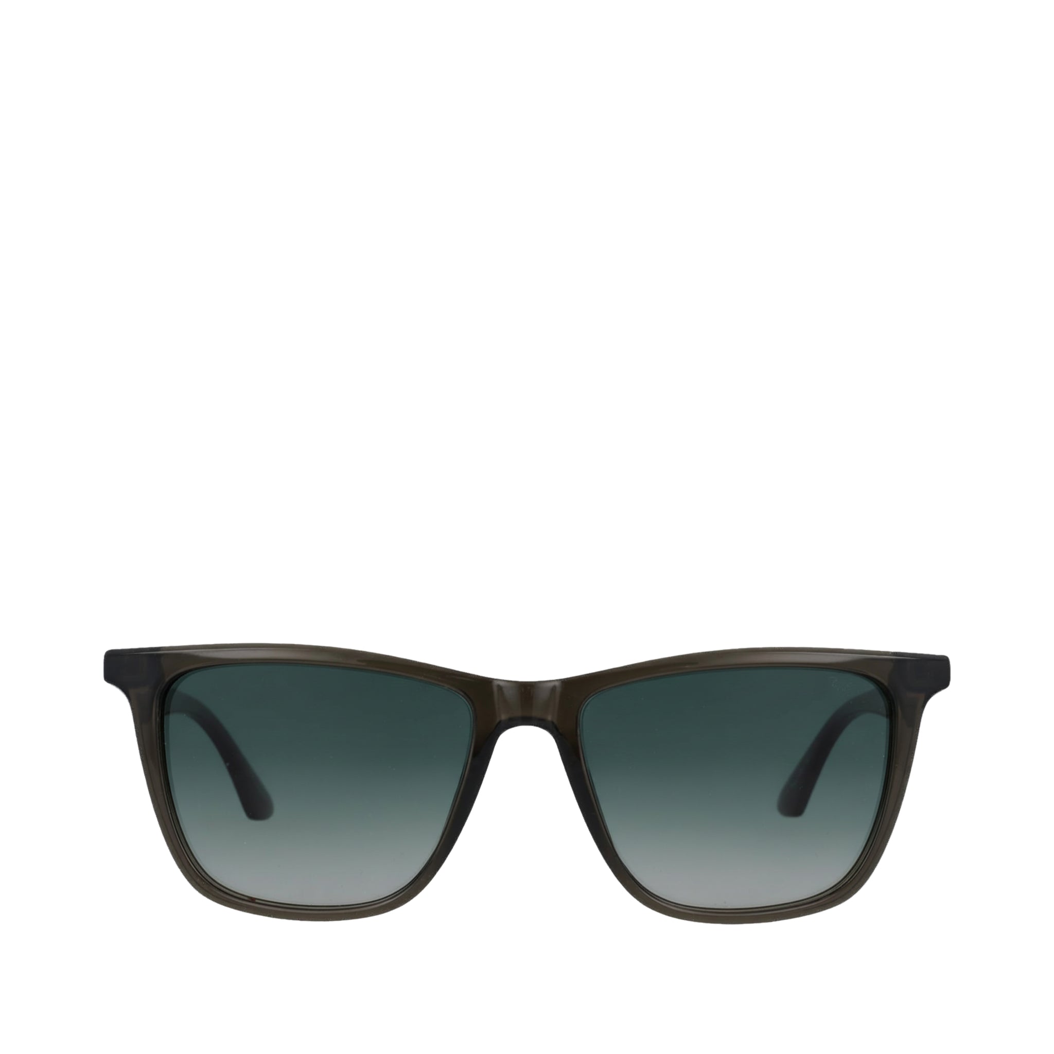 Rio Forest Green Tortoise Traveler Sunglasses