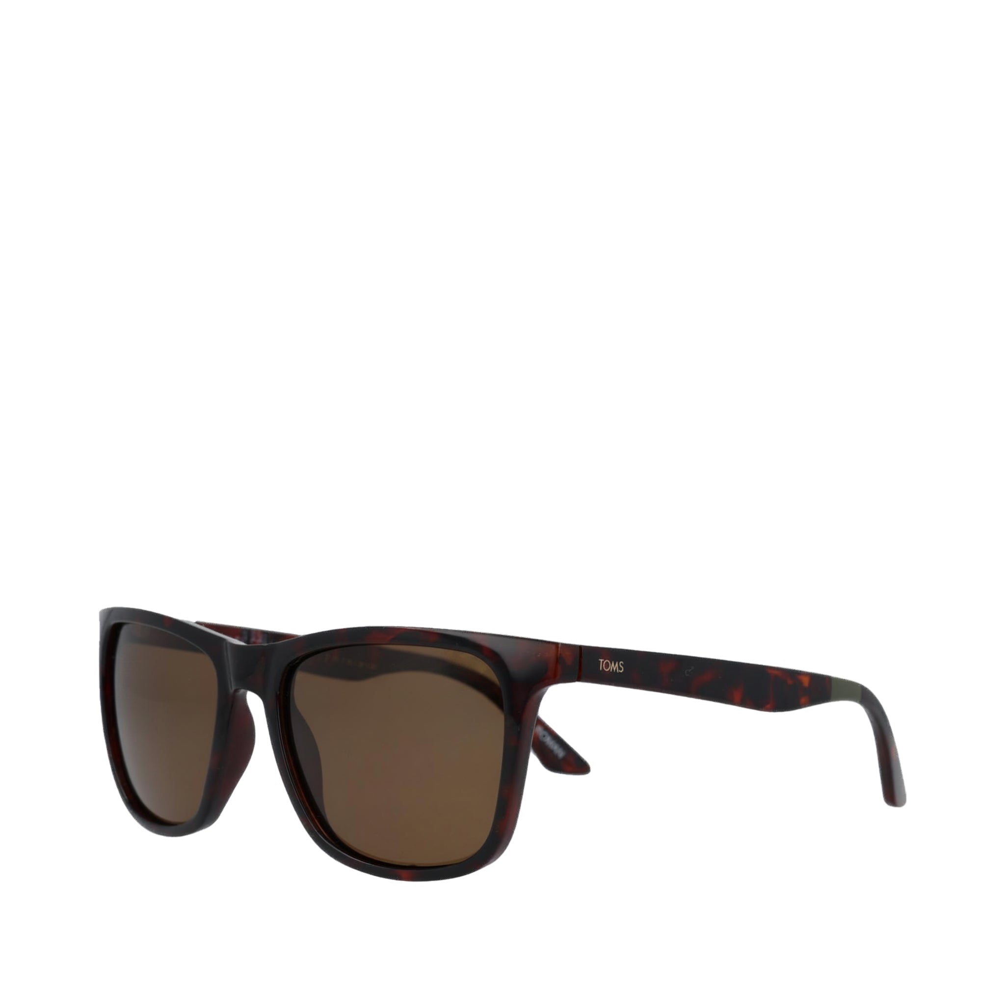 Roman Whiskey Tortoise Traveler Sunglasses - Image 2